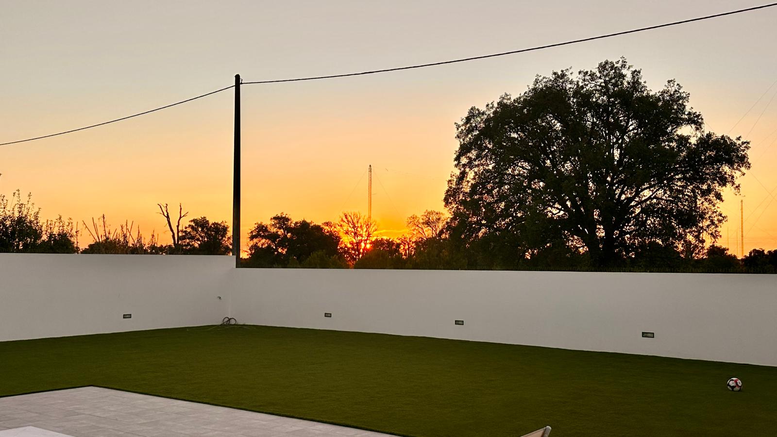 Jardim e árvore ao fim do dia